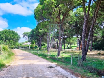 Terreno para Venda em Santo Estêvão