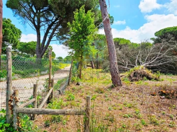 Terreno para Venda em Santo Estêvão