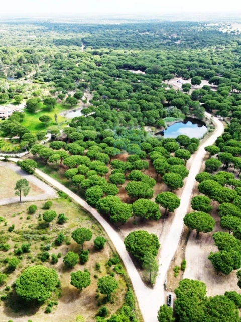 Terreno para Venda em Santo Estêvão