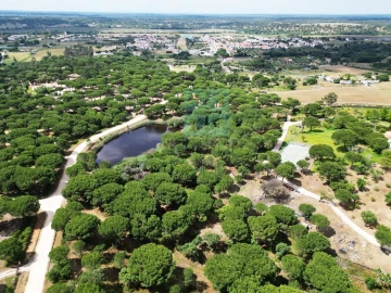 Terreno para Venda em Santo Estêvão