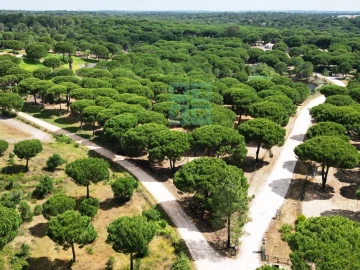 Terreno para Venda em Santo Estêvão