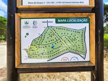Terreno para Venda em Santo Estêvão