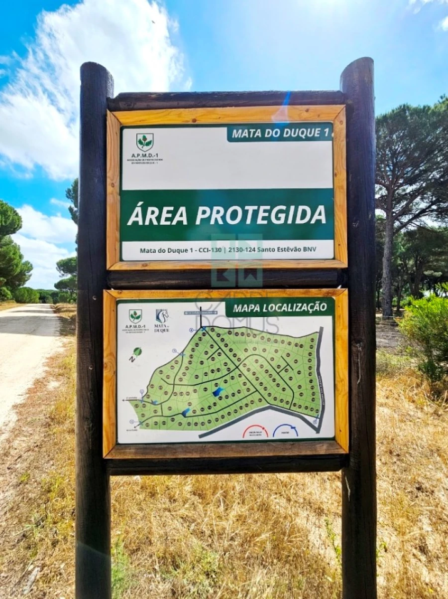 Terreno para Venda em Santo Estêvão Foto 10