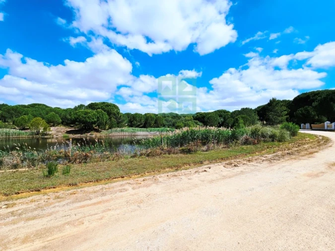 Terreno para Venda em Santo Estêvão Foto 14