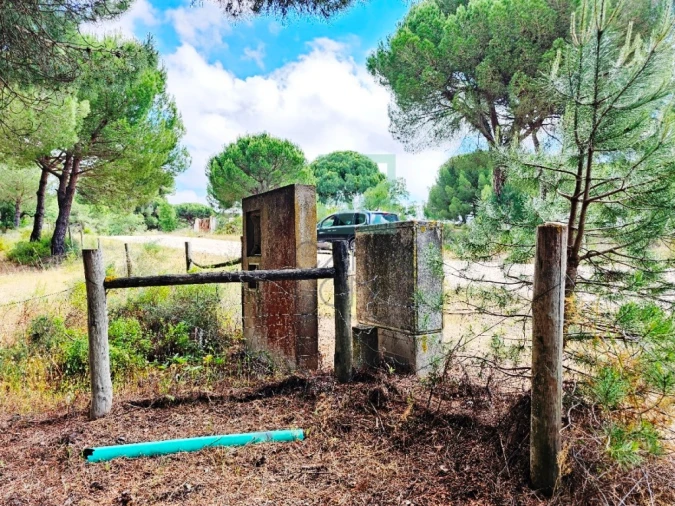 Terreno para Venda em Santo Estêvão Foto 17