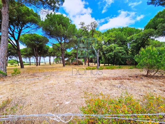 Terreno para Venda em Santo Estêvão Foto 23