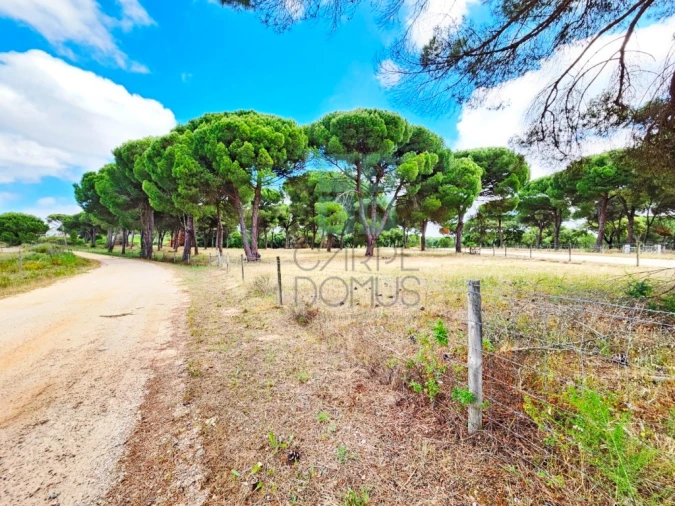 Terreno para Venda em Santo Estêvão Foto 24