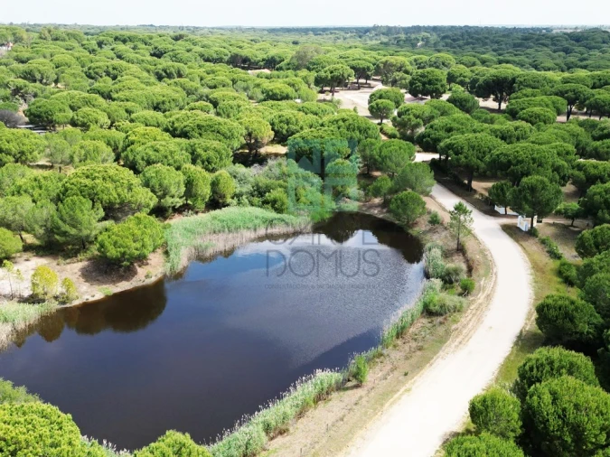 Terreno para Venda em Santo Estêvão Foto 29