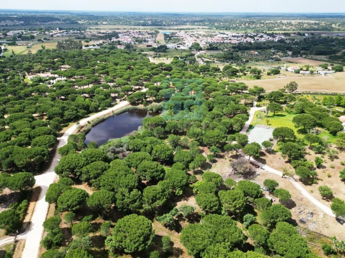 Terreno para Venda em Santo Estêvão Foto 30