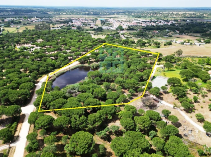 Terreno para Venda em Santo Estêvão Foto 31