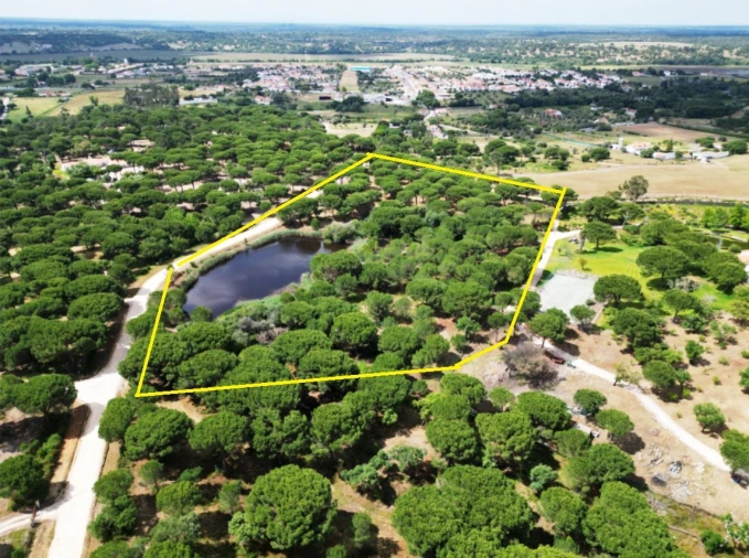 Terreno para Venda em Santo Estêvão Planta 9