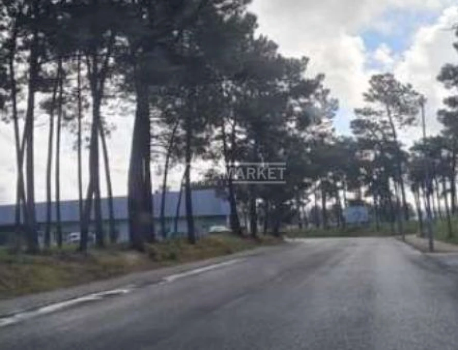 Terreno para Venda em Azeitão (São Lourenço e São Simão) Foto 7