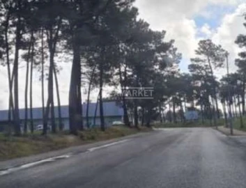Terreno para Venda em Azeitão (São Lourenço e São Simão)