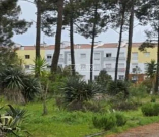 Terreno para Venda em Azeitão (São Lourenço e São Simão)
