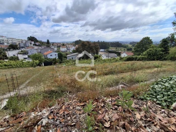 Terreno para Venda em Silvares, Pias, Nogueira e Alvarenga