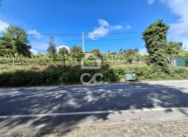 Terreno para Venda em Silvares, Pias, Nogueira e Alvarenga