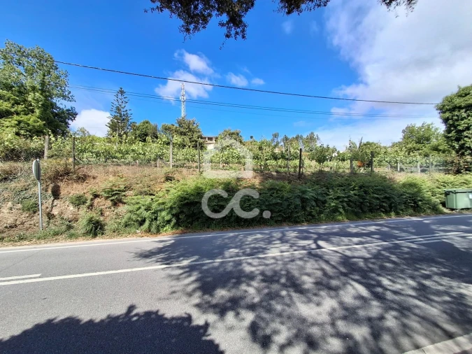 Terreno para Venda em Silvares, Pias, Nogueira e Alvarenga Foto 4