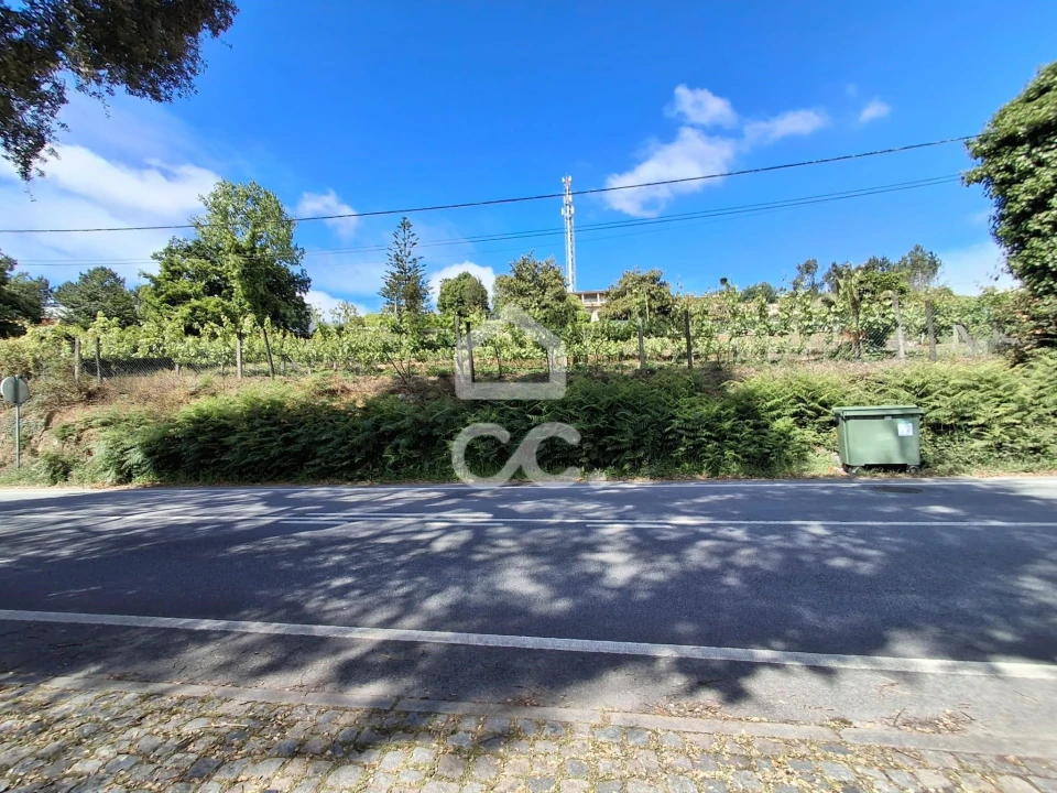 Terreno para Venda em Silvares, Pias, Nogueira e Alvarenga Foto 1