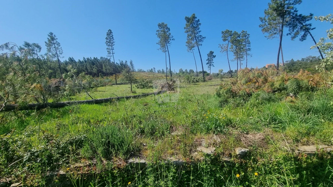 Terreno Agricola ou Rústico para Venda em Santo Andre das Tojeiras Foto 7