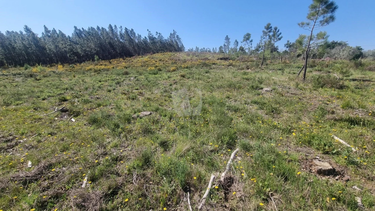 Terreno Agricola ou Rústico para Venda em Santo Andre das Tojeiras Foto 2
