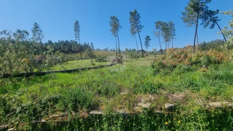 Terreno Agricola ou Rústico para Venda em Santo Andre das Tojeiras