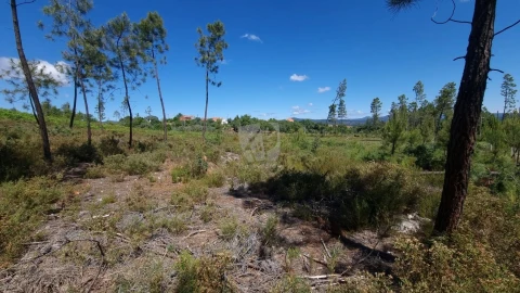 Terreno Agricola ou Rústico para Venda em Santo Andre das Tojeiras