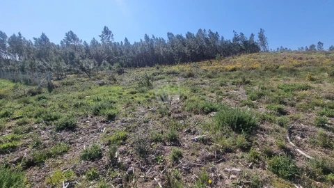 Terreno Agricola ou Rústico para Venda em Santo Andre das Tojeiras