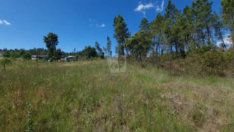 Terreno Agricola ou Rústico para Venda em Santo Andre das Tojeiras
