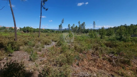 Terreno Agricola ou Rústico para Venda em Santo Andre das Tojeiras