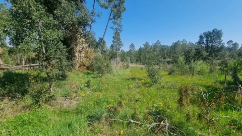 Terreno Agricola ou Rústico para Venda em Santo Andre das Tojeiras