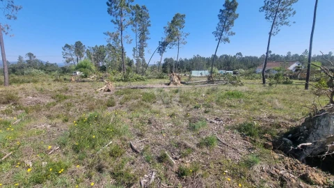 Terreno Agricola ou Rústico para Venda em Santo Andre das Tojeiras