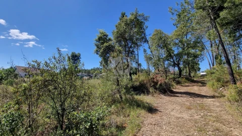 Terreno Agricola ou Rústico para Venda em Santo Andre das Tojeiras