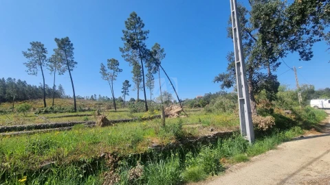 Terreno Agricola ou Rústico para Venda em Santo Andre das Tojeiras
