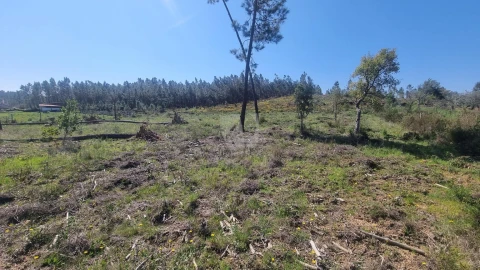 Terreno Agricola ou Rústico para Venda em Santo Andre das Tojeiras