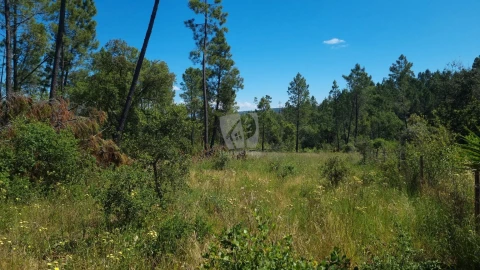 Terreno Agricola ou Rústico para Venda em Santo Andre das Tojeiras