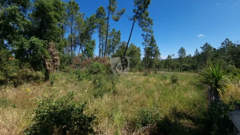 Terreno Agricola ou Rústico para Venda em Santo Andre das Tojeiras