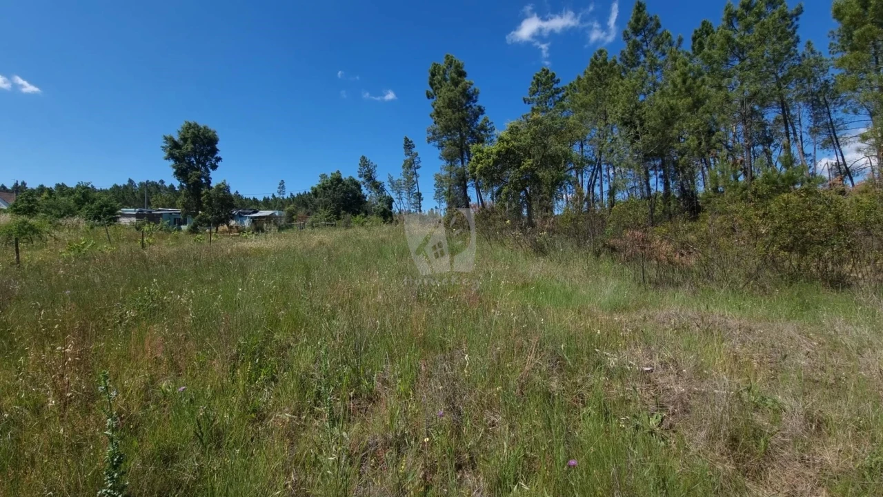 Terreno Agricola ou Rústico para Venda em Santo Andre das Tojeiras Foto 14