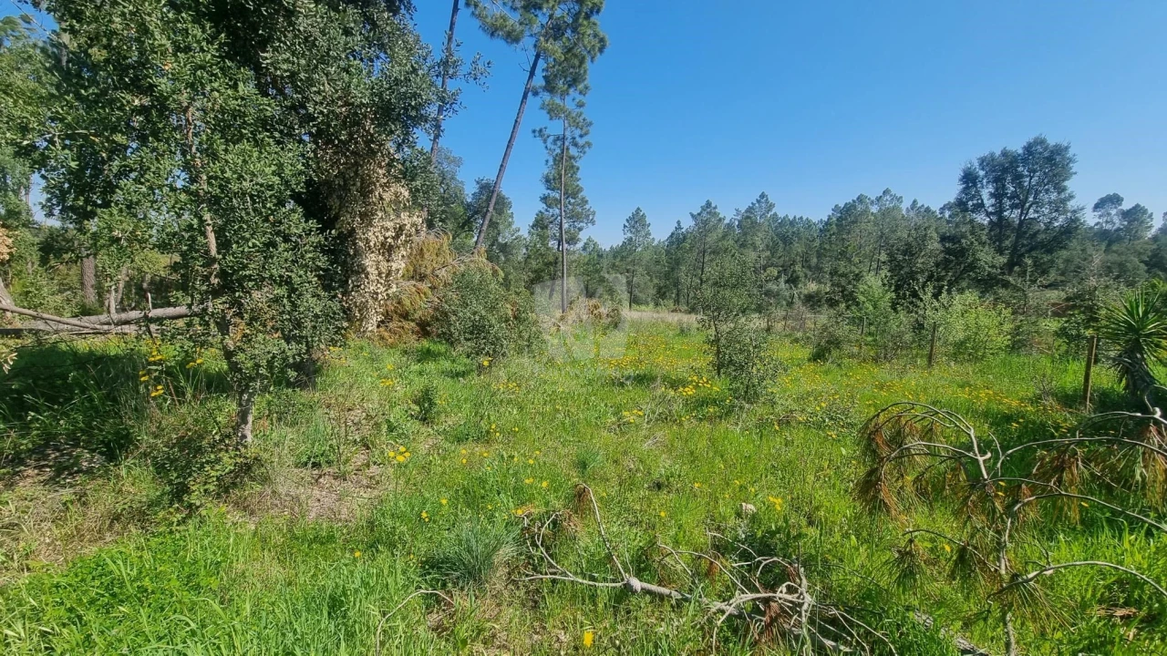 Terreno Agricola ou Rústico para Venda em Santo Andre das Tojeiras Foto 9