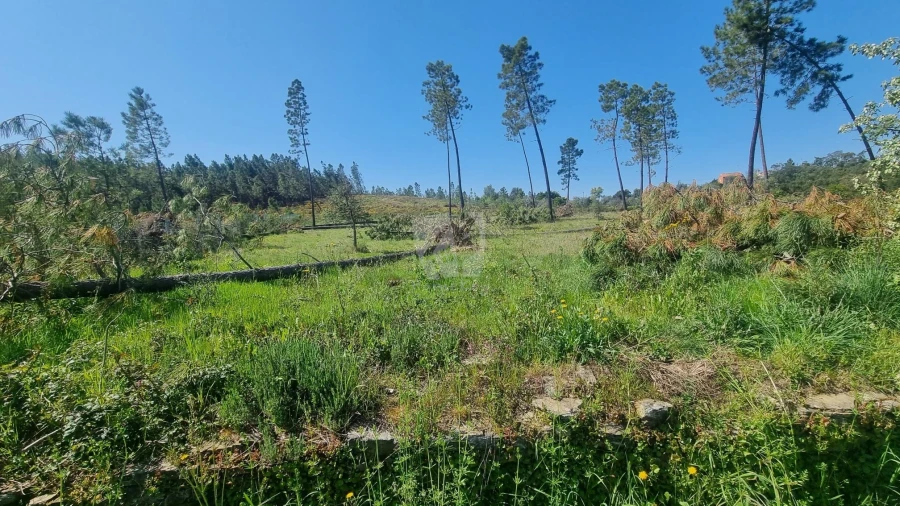 Terreno Agricola ou Rústico para Venda em Santo Andre das Tojeiras Foto 7