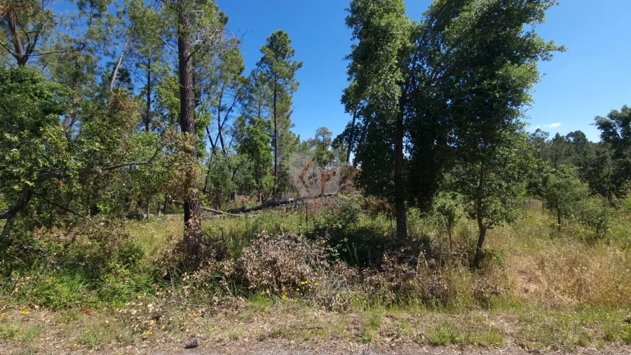 Terreno Agricola ou Rústico para Venda em Santo Andre das Tojeiras Foto 12
