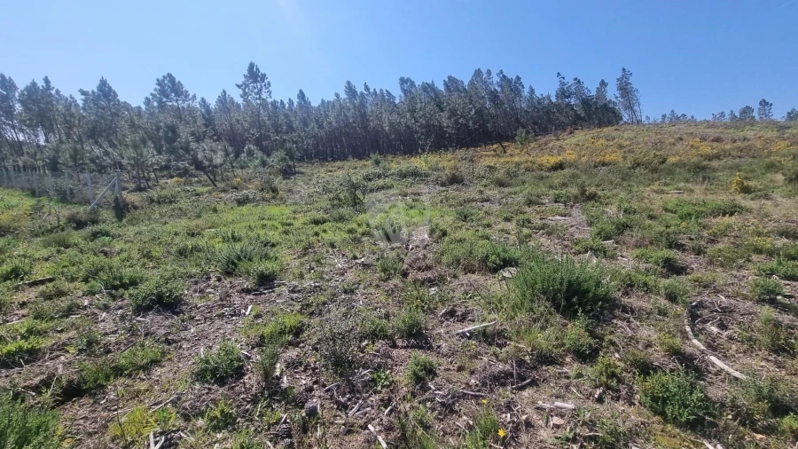 Terreno Agricola ou Rústico para Venda em Santo Andre das Tojeiras Foto 5