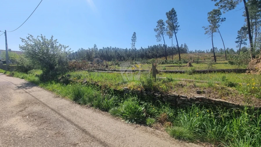 Terreno Agricola ou Rústico para Venda em Santo Andre das Tojeiras Foto 6