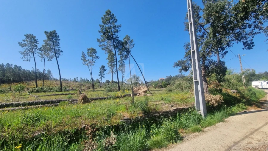 Terreno Agricola ou Rústico para Venda em Santo Andre das Tojeiras Foto 8