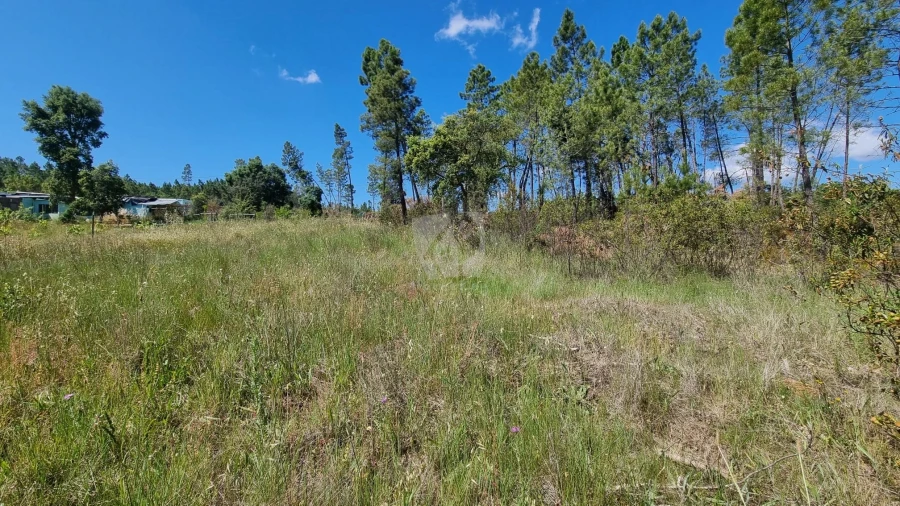 Terreno Agricola ou Rústico para Venda em Santo Andre das Tojeiras Foto 15