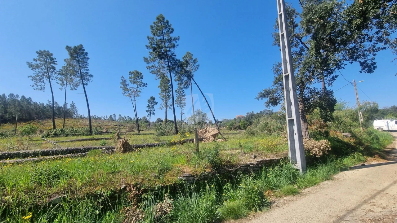 Terreno Agricola ou Rústico para Venda em Santo Andre das Tojeiras Foto 8