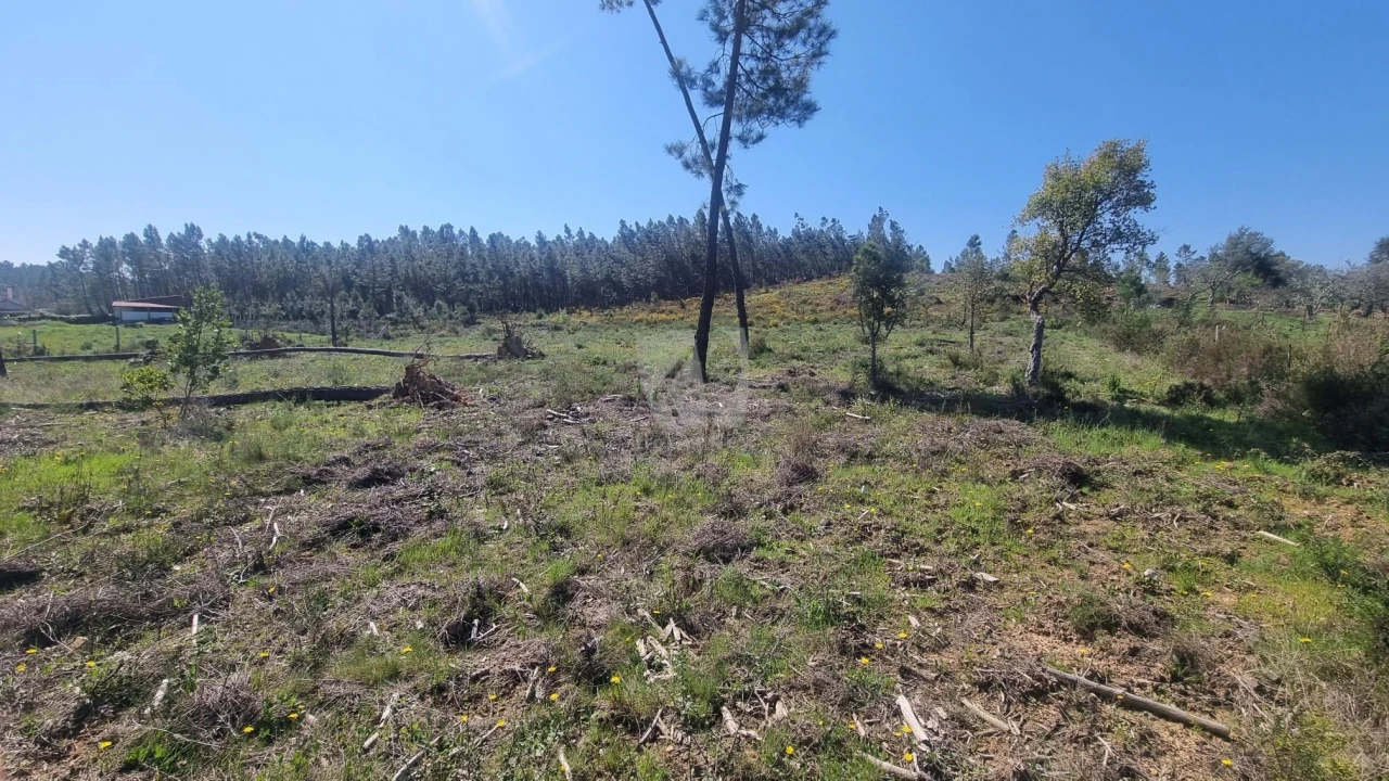 Terreno Agricola ou Rústico para Venda em Santo Andre das Tojeiras Foto 3