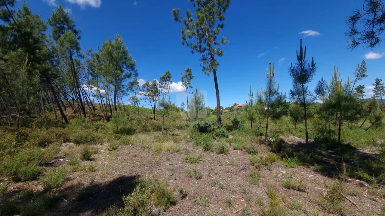 Terreno Agricola ou Rústico para Venda em Santo Andre das Tojeiras Foto 19