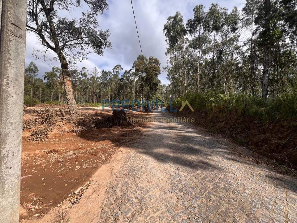 Terreno para Venda em Vilar e Mosteiró Foto 8