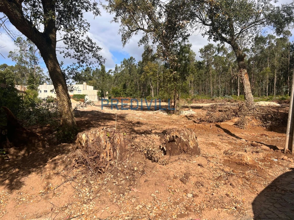 Terreno para Venda em Vilar e Mosteiró Foto 6
