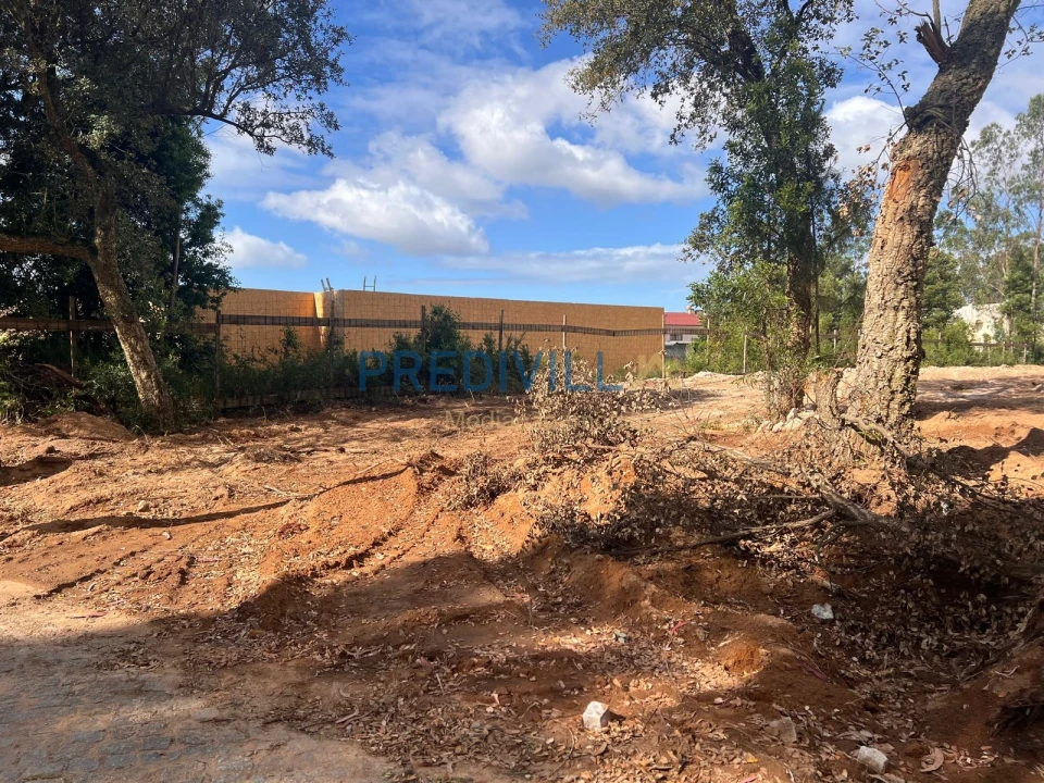Terreno para Venda em Vilar e Mosteiró Foto 4